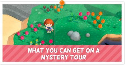 Mystery Island Tour Guide: List of Mystery Island Types